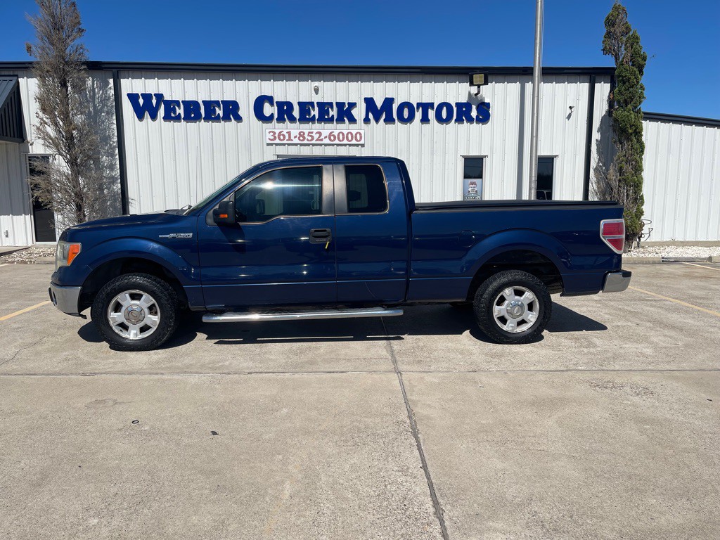 2010 Ford F-150 Image 1