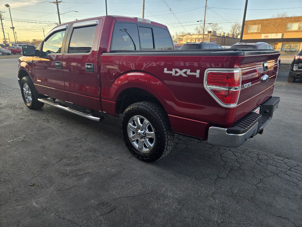 2013 Ford F-150 Image 6