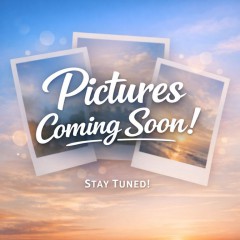 Image for 2016 Ford Explorer XLT ID: 7506035