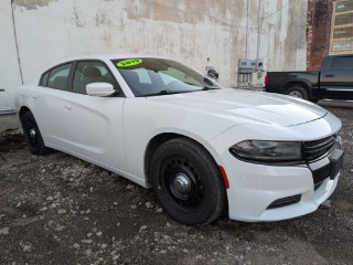 Image for 2019 Dodge Charger Police ID: 7186158