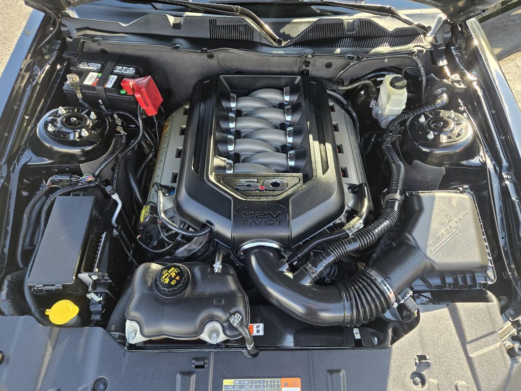 2014 Ford Mustang Image 11