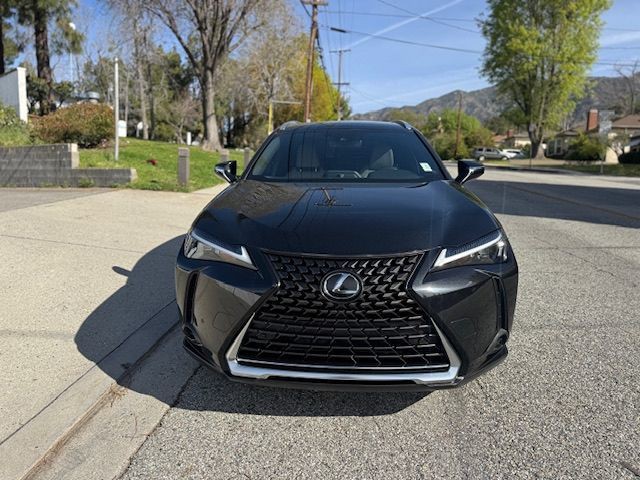 2023 Lexus UX 250h Image 2