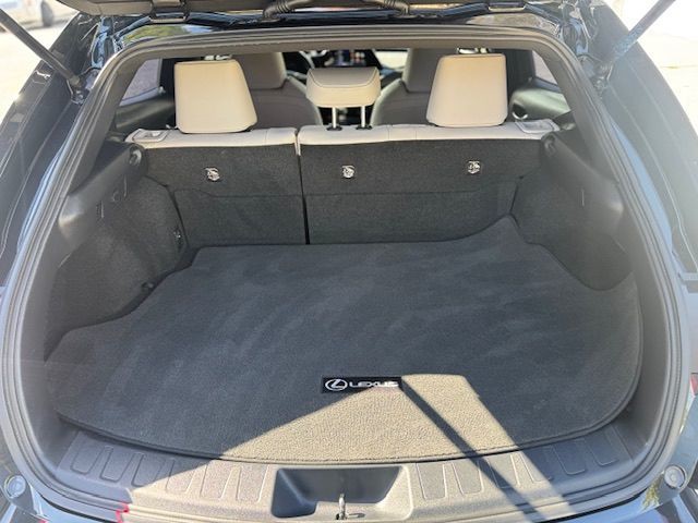 2023 Lexus UX 250h Image 13