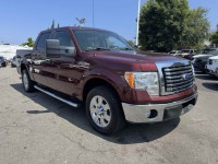 Image for 2010 Ford F-150 XLT ID: 6689198