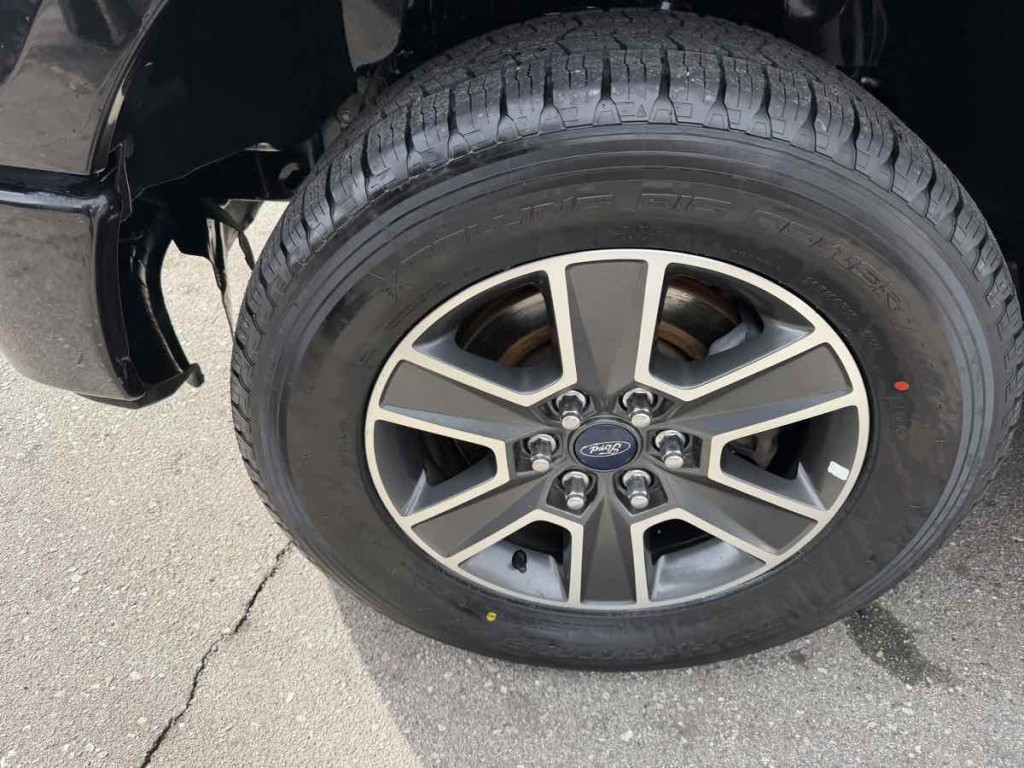 2013 Ford F-150 Image 7