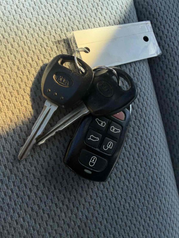 2008 Kia Sedona Image 22