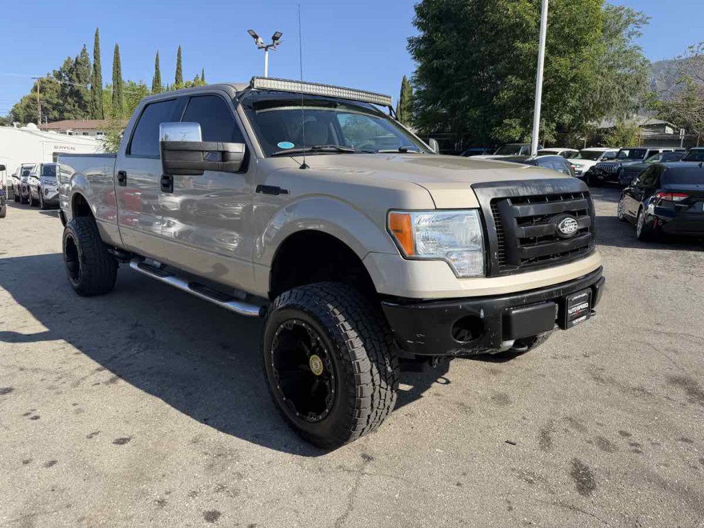 2010 Ford F-150 Image 1