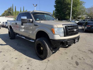 Image for 2010 Ford F-150 XLT ID: 7295103