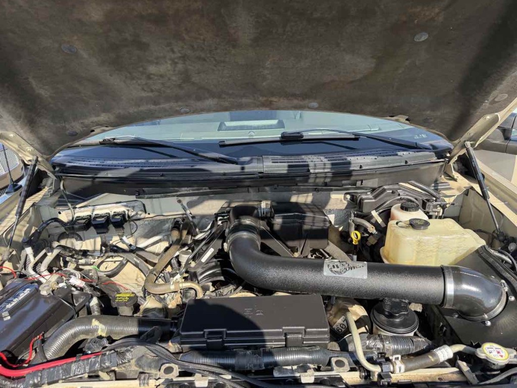 2010 Ford F-150 Image 22
