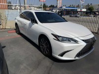Image for 2024 Lexus ES 300  ID: 7504727