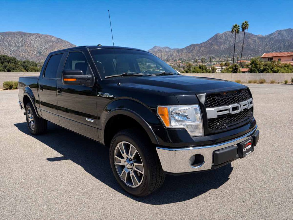 2014 Ford F-150 Image 1