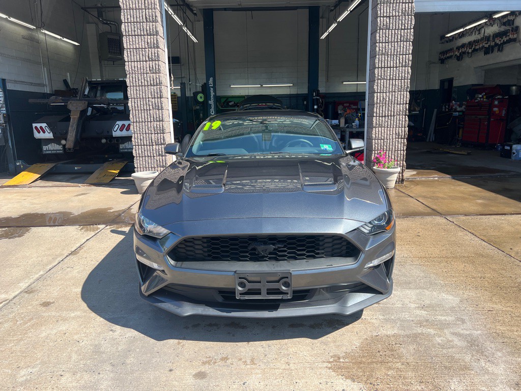 2019 Ford Mustang Image 2