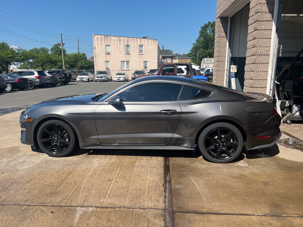 2019 Ford Mustang Image 8