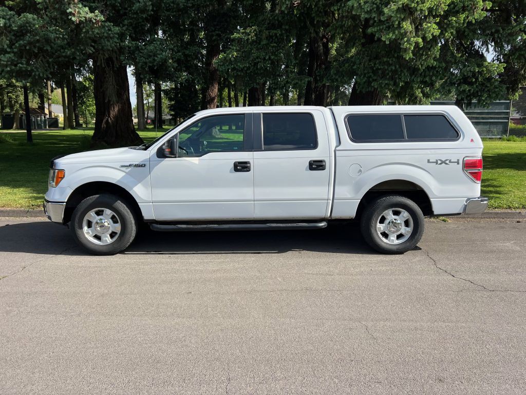 2014 Ford F-150 Image 3