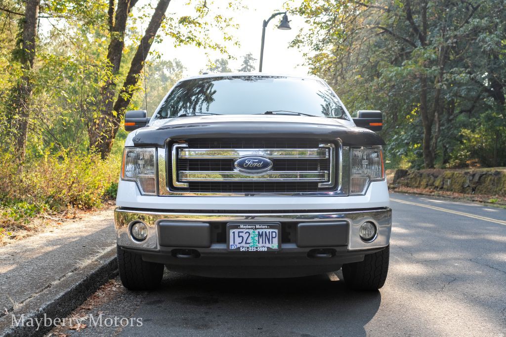 2014 Ford F-150 Image 4