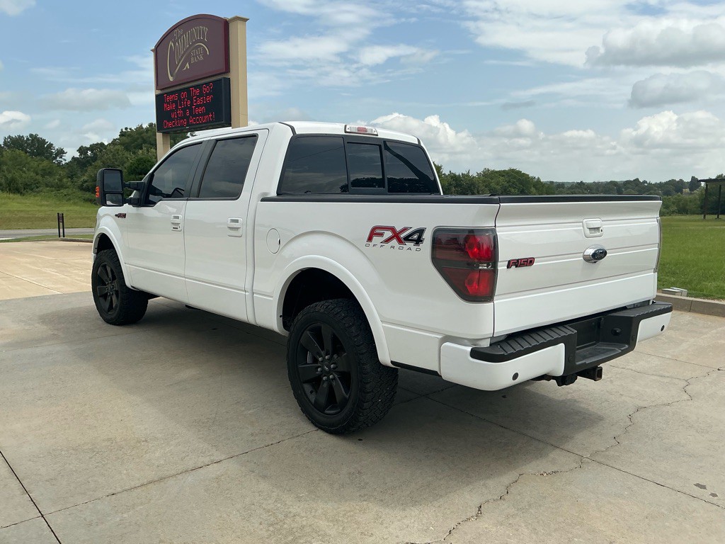 2013 Ford F-150 Image 3