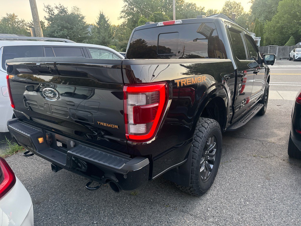 2023 Ford F-150 Image 3
