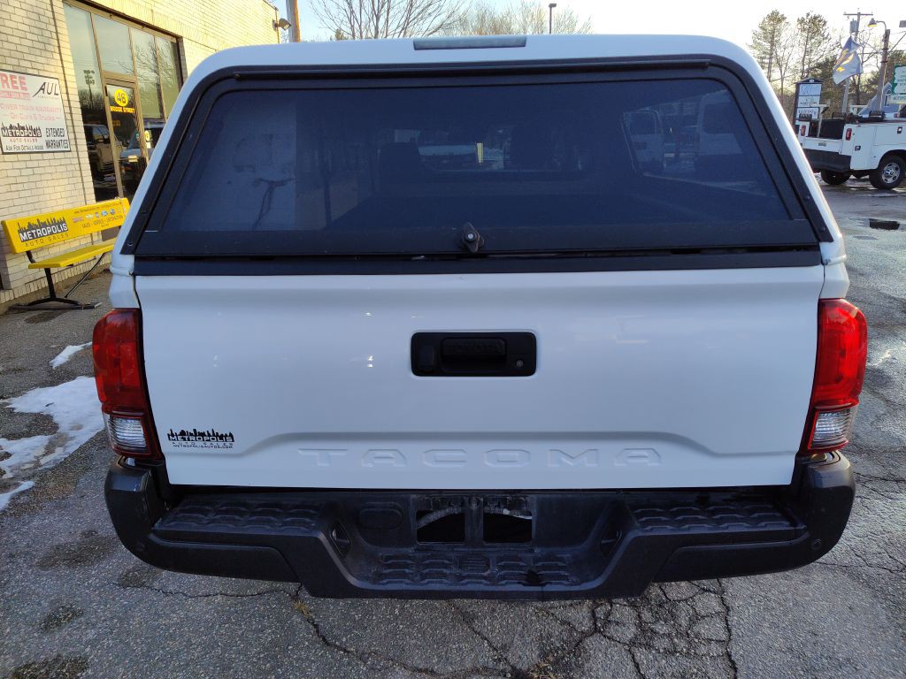 2019 Toyota Tacoma Image 8