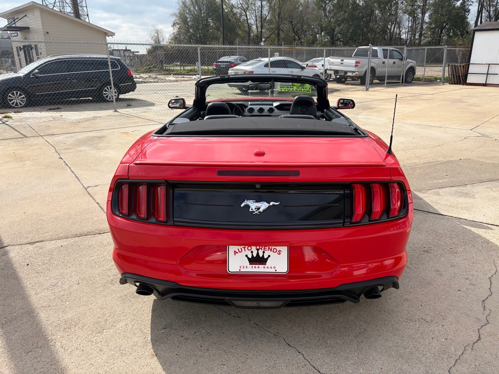 2020 Ford Mustang Image 5