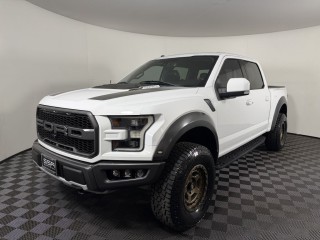 Image for 2018 Ford F-150 Raptor ID: 7423180