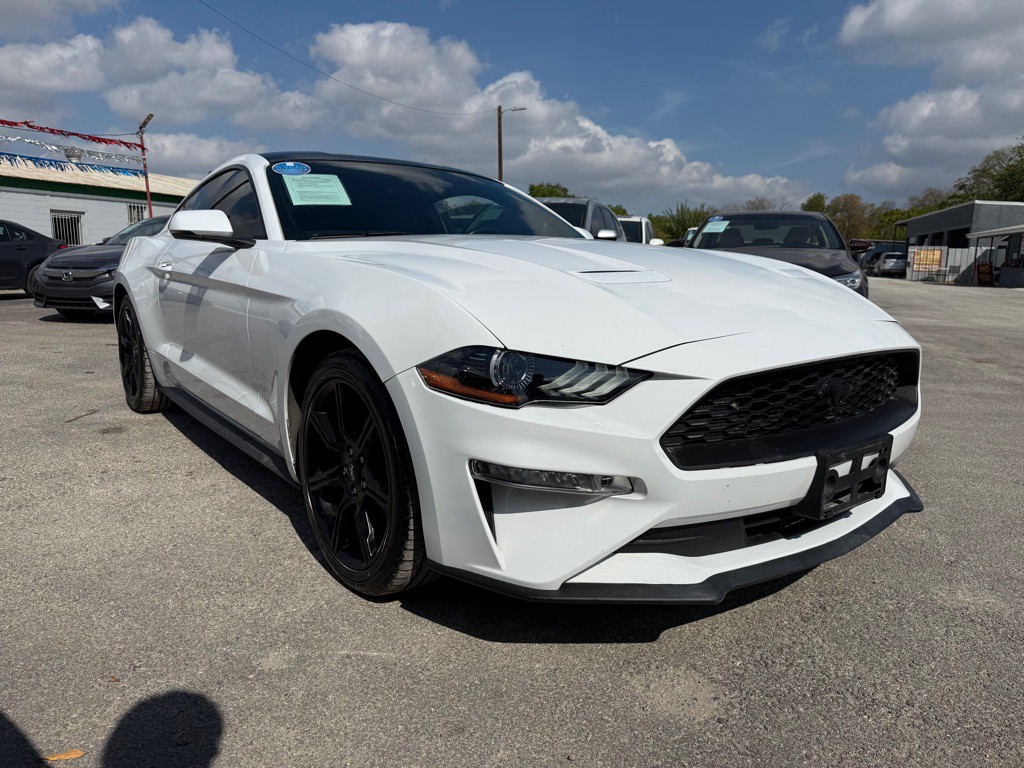 2019 Ford Mustang Image 2