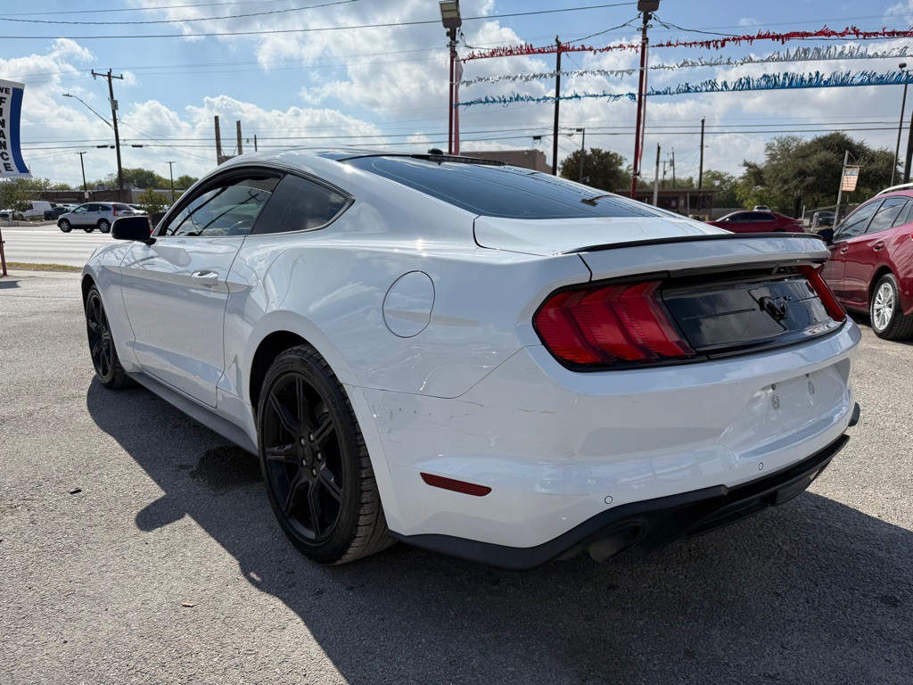2019 Ford Mustang Image 4