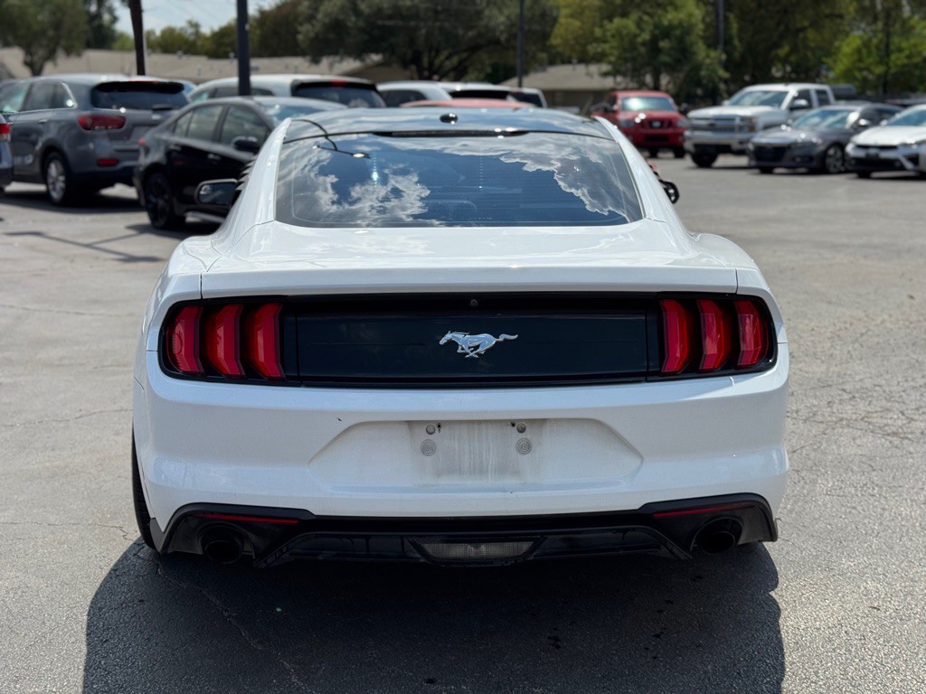 2019 Ford Mustang Image 6