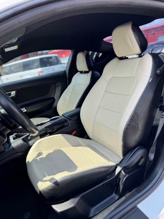 2019 Ford Mustang Image 14