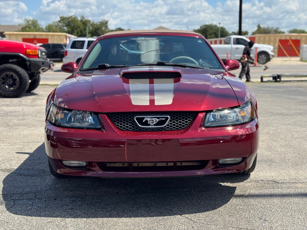 2004 Ford Mustang Image 16