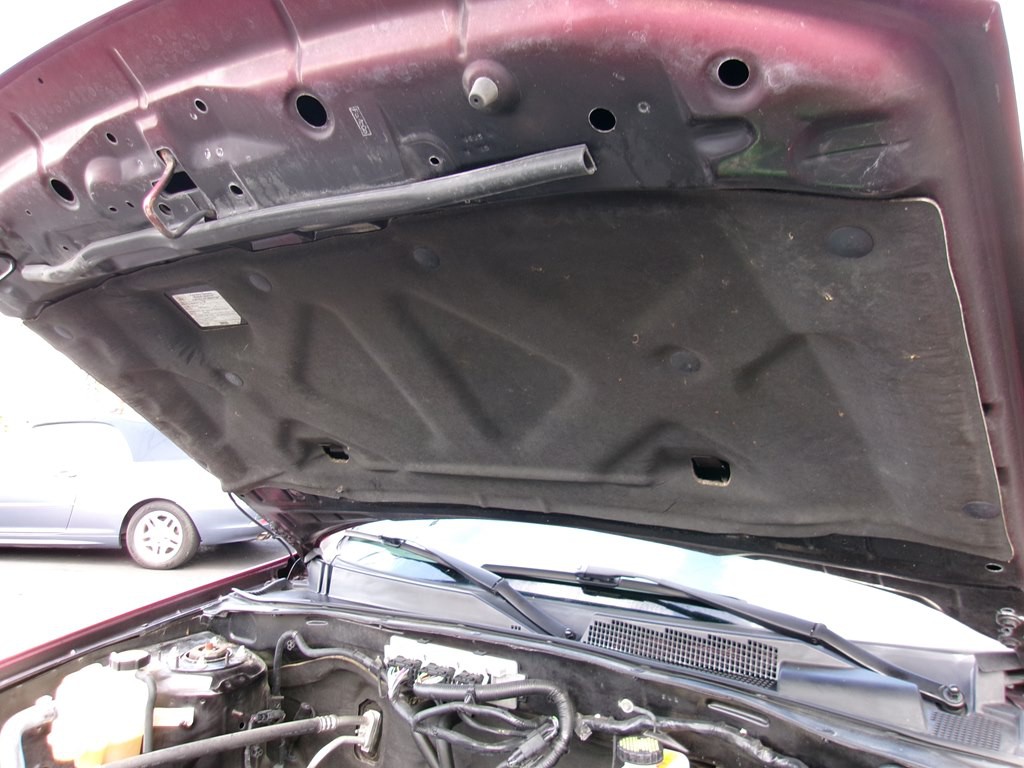 2012 Ford Escape Image 38