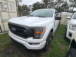 Image for 2022 Ford F-150 XL ID: 7594696