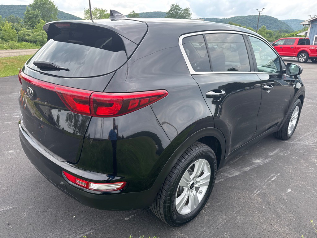 2019 Kia Sportage Image 6