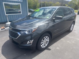 Image for 2019 Chevrolet Equinox LS ID: 7383276