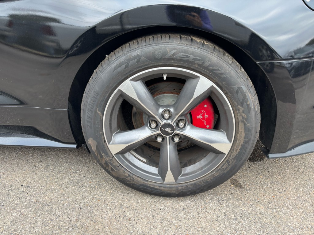 2015 Ford Mustang Image 8