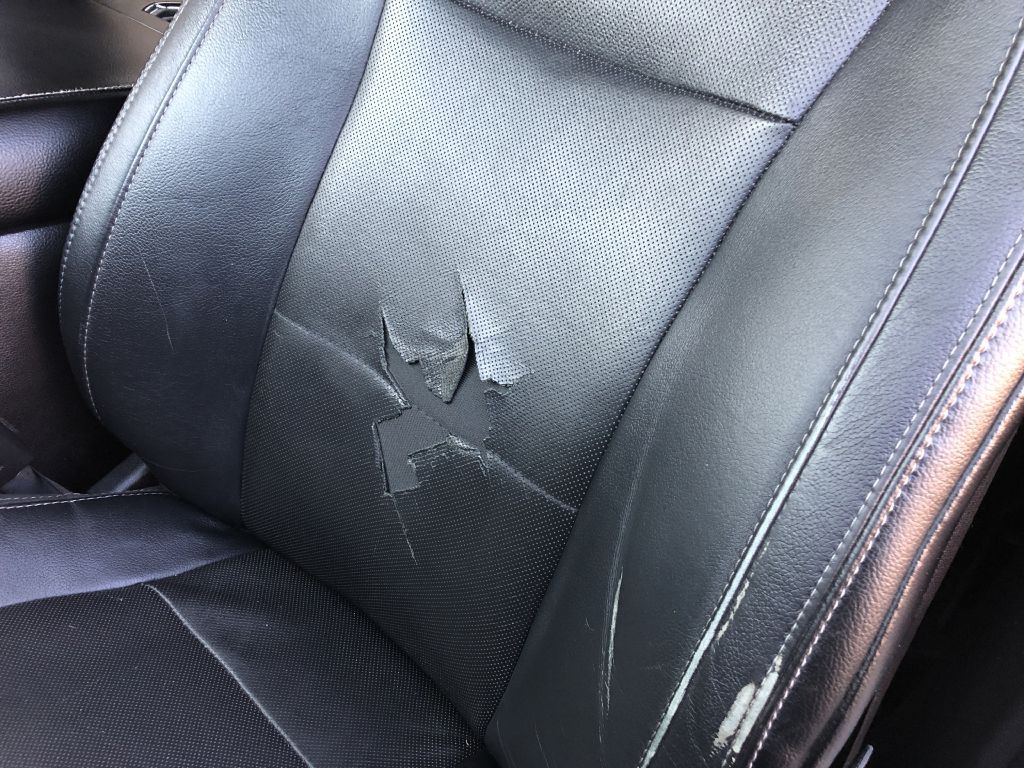 2015 Ford F-150 Image 19