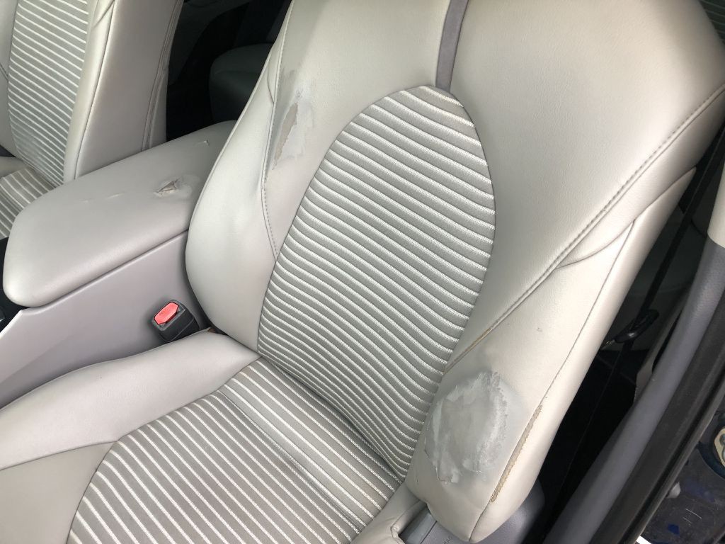 2019 Toyota Camry Image 11