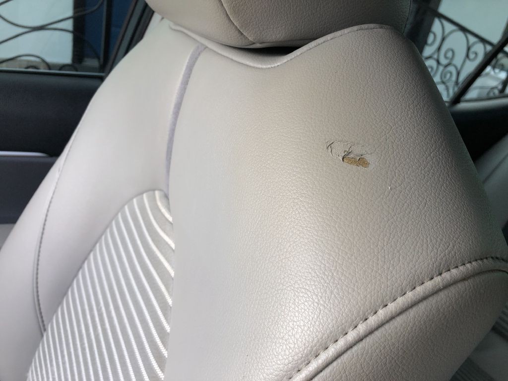 2019 Toyota Camry Image 12