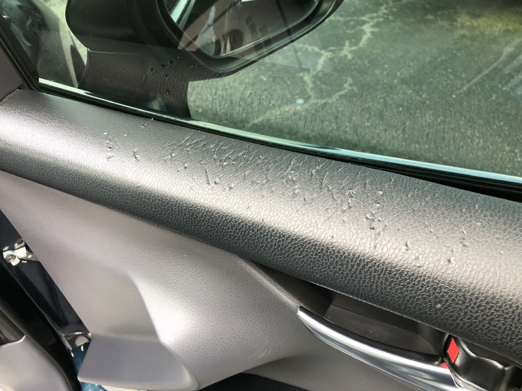 2019 Toyota Camry Image 24