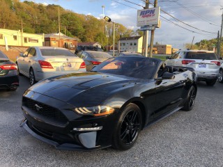 Image for 2019 Ford Mustang Premium Ecoboost ID: 7322672