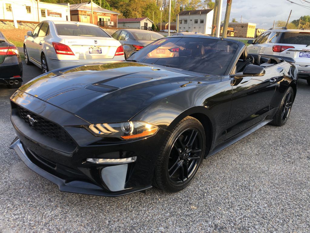 2019 Ford Mustang Image 3