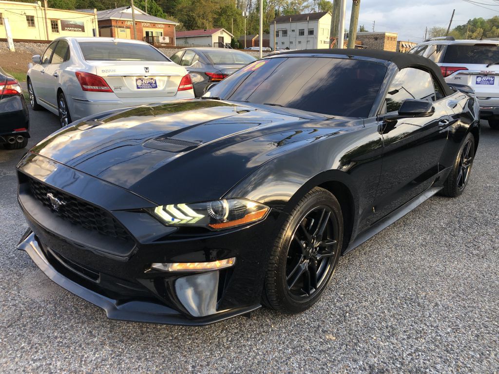 2019 Ford Mustang Image 4