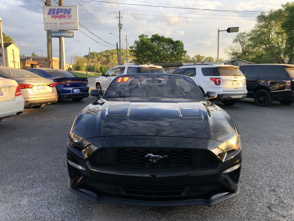 2019 Ford Mustang Image 5