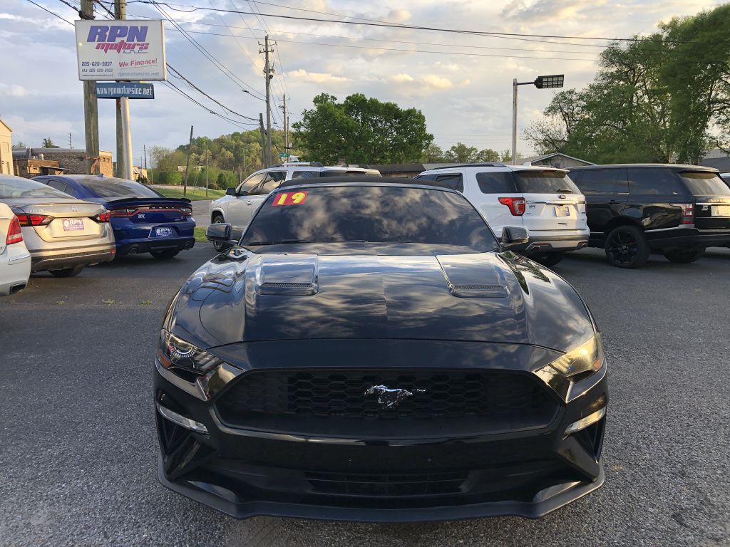 2019 Ford Mustang Image 6