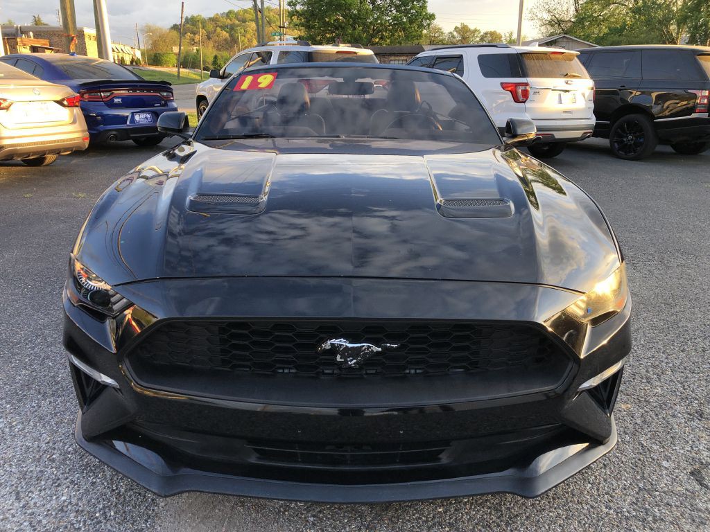 2019 Ford Mustang Image 7