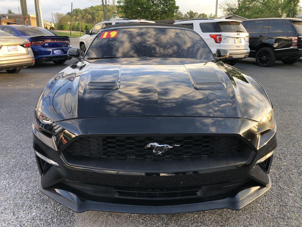 2019 Ford Mustang Image 8