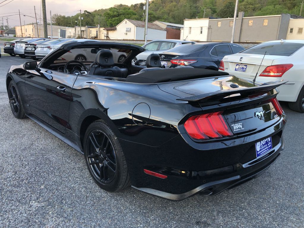 2019 Ford Mustang Image 13