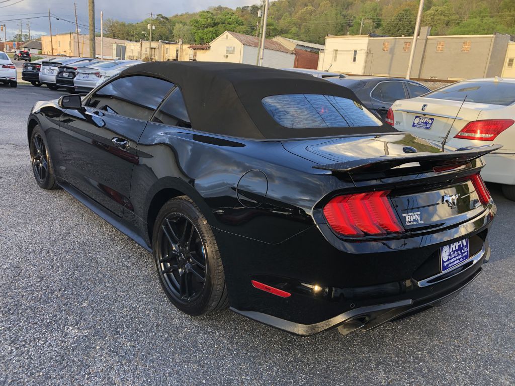 2019 Ford Mustang Image 14