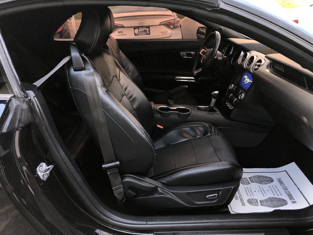 2019 Ford Mustang Image 23