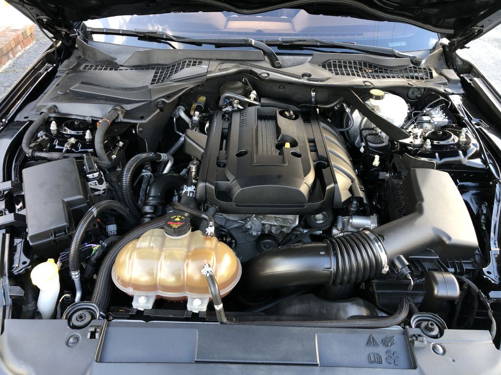 2019 Ford Mustang Image 49