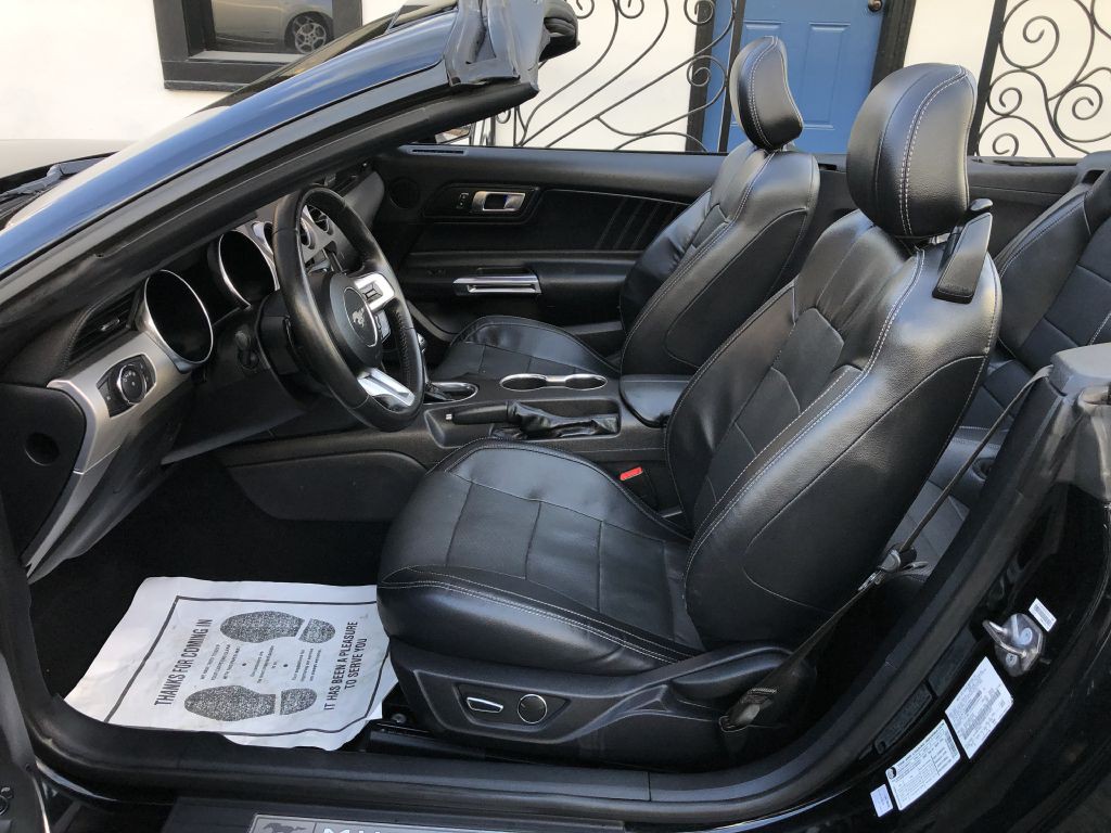 2019 Ford Mustang Image 19